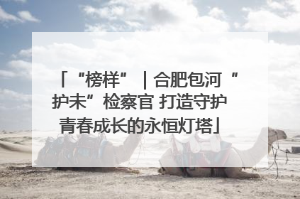 “榜样”｜合肥包河“护未”检察官 打造守护青春成长的永恒灯塔