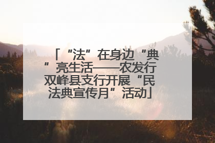 “法”在身边“典”亮生活——农发行双峰县支行开展“民法典宣传月”活动