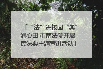 “法”进校园“典”润心田 市南法院开展民法典主题宣讲活动