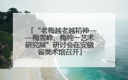 “老梅越老越精神——梅雪峰、梅纯一艺术研究展”研讨会在安徽省美术馆召开
