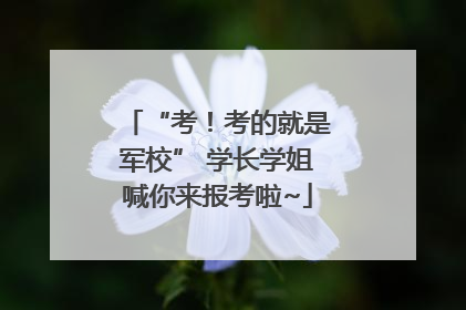 “考！考的就是军校” 学长学姐喊你来报考啦~