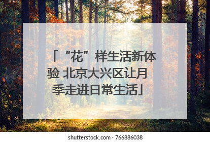“花”样生活新体验 北京大兴区让月季走进日常生活