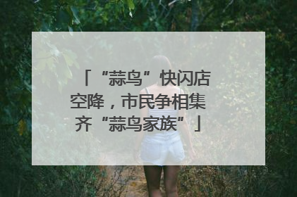 “蒜鸟”快闪店空降，市民争相集齐“蒜鸟家族”