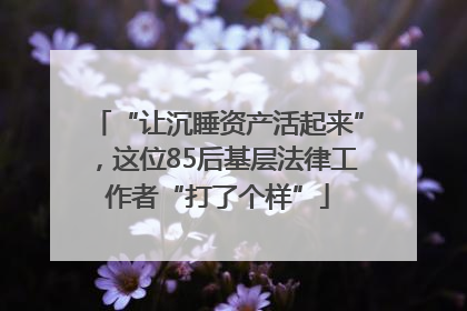 “让沉睡资产活起来”，这位85后基层法律工作者“打了个样”