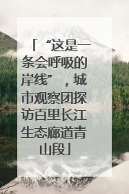 “这是一条会呼吸的岸线”，城市观察团探访百里长江生态廊道青山段