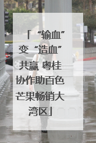 “输血”变“造血”共赢 粤桂协作助百色芒果畅销大湾区