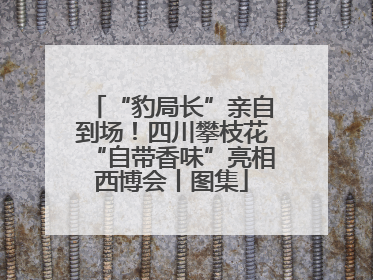 “豹局长”亲自到场！四川攀枝花“自带香味”亮相西博会丨图集