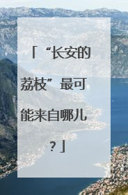 “长安的荔枝”最可能来自哪儿？