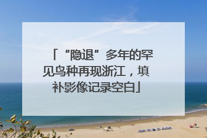“隐退”多年的罕见鸟种再现浙江，填补影像记录空白