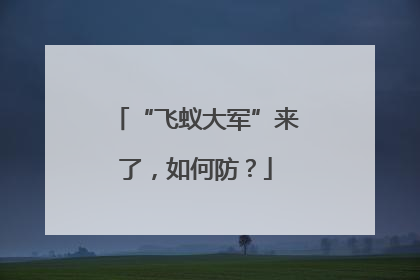 “飞蚁大军”来了，如何防？
