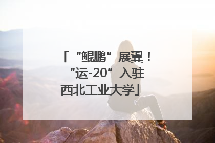 “鲲鹏”展翼！“运-20”入驻西北工业大学