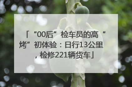 “00后”检车员的高“烤”初体验：日行13公里，检修221辆货车