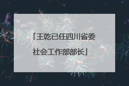 王乾已任四川省委社会工作部部长