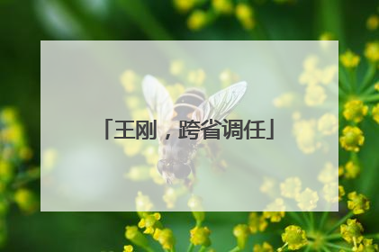 王刚，跨省调任