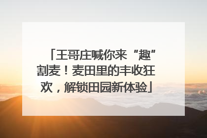 王哥庄喊你来“趣”割麦！麦田里的丰收狂欢，解锁田园新体验