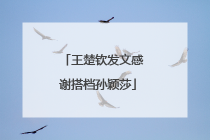 王楚钦发文感谢搭档孙颖莎