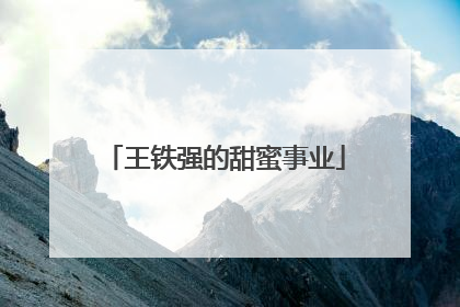 王铁强的甜蜜事业