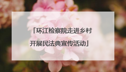 环江检察院走进乡村开展民法典宣传活动