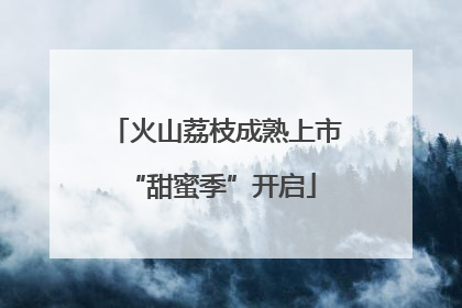 火山荔枝成熟上市 “甜蜜季”开启