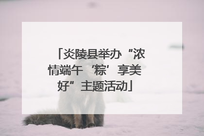 炎陵县举办“浓情端午‘粽’享美好”主题活动