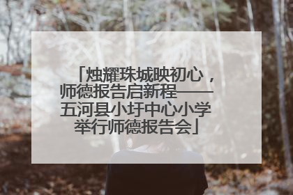 烛耀珠城映初心，师德报告启新程——五河县小圩中心小学举行师德报告会