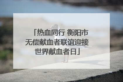 热血同行 衡阳市无偿献血者联谊迎接世界献血者日