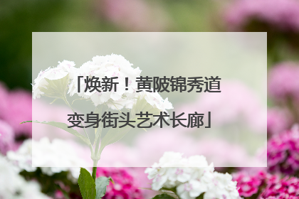 焕新！黄陂锦秀道变身街头艺术长廊