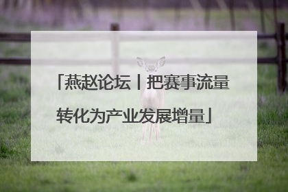 燕赵论坛丨把赛事流量转化为产业发展增量