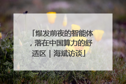 爆发前夜的智能体，落在中国算力的舒适区｜海斌访谈