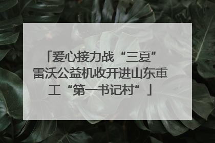 爱心接力战“三夏” 雷沃公益机收开进山东重工“第一书记村”