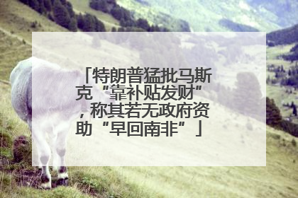 特朗普猛批马斯克“靠补贴发财”，称其若无政府资助“早回南非”