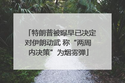 特朗普被曝早已决定对伊朗动武 称“两周内决策”为烟雾弹