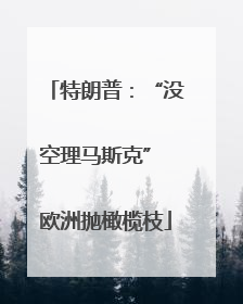 特朗普：“没空理马斯克” 欧洲抛橄榄枝