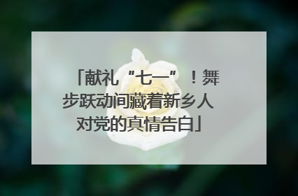 献礼“七一”！舞步跃动间藏着新乡人对党的真情告白