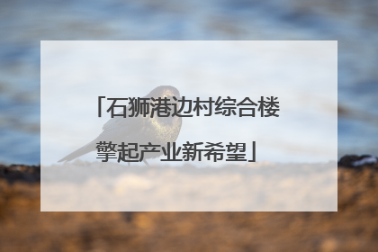 石狮港边村综合楼擎起产业新希望