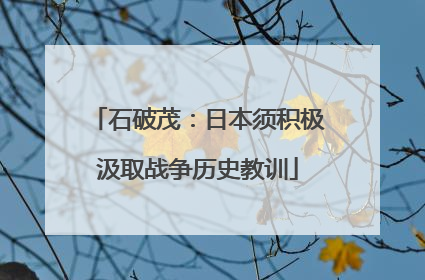 石破茂：日本须积极汲取战争历史教训