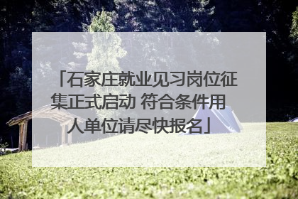 石家庄就业见习岗位征集正式启动 符合条件用人单位请尽快报名