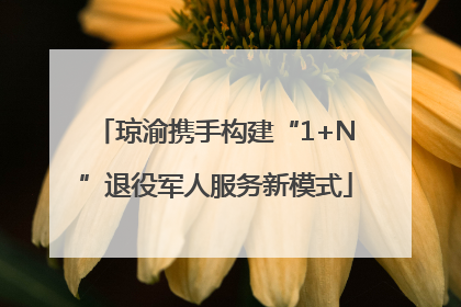 琼渝携手构建“1+N”退役军人服务新模式