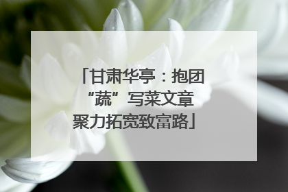 甘肃华亭：抱团“蔬”写菜文章 聚力拓宽致富路