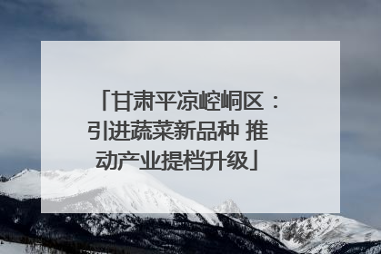 甘肃平凉崆峒区：引进蔬菜新品种 推动产业提档升级