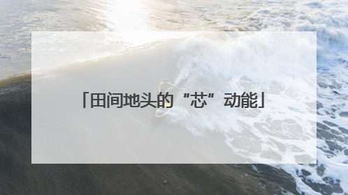 田间地头的“芯”动能
