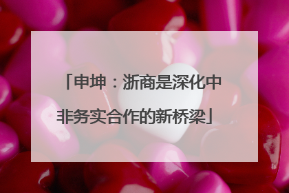 申坤：浙商是深化中非务实合作的新桥梁