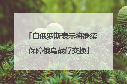 白俄罗斯表示将继续保障俄乌战俘交换