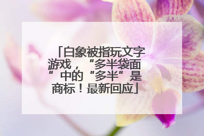 白象被指玩文字游戏，“多半袋面”中的“多半”是商标！最新回应