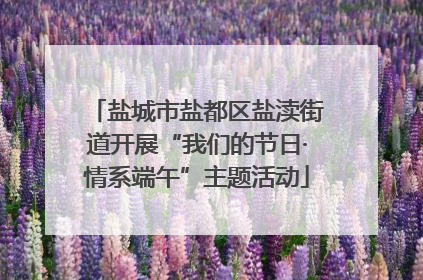 盐城市盐都区盐渎街道开展“我们的节日·情系端午”主题活动