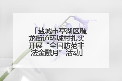 盐城市亭湖区毓龙街道环城村扎实开展“全国防范非法金融月”活动