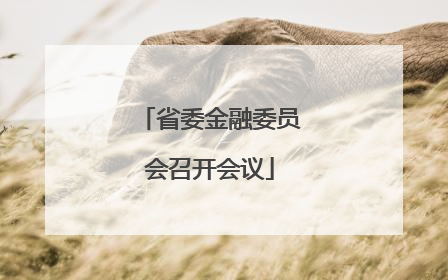 省委金融委员会召开会议