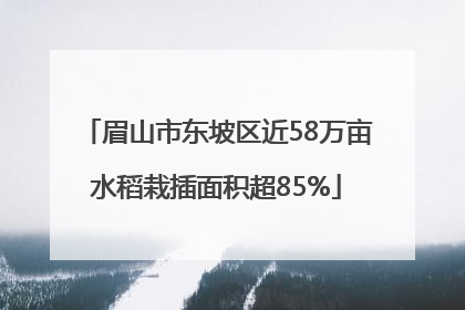 眉山市东坡区近58万亩水稻栽插面积超85%