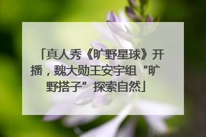 真人秀《旷野星球》开播，魏大勋王安宇组“旷野搭子”探索自然