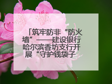 筑牢防非“防火墙”——建设银行哈尔滨香坊支行开展“守护钱袋子 护好幸福家”集中宣传日活动